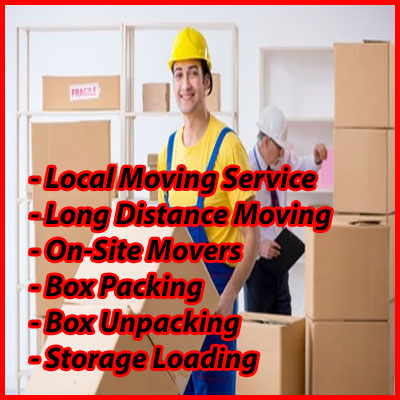 Packers And Movers Noida Sector 62
